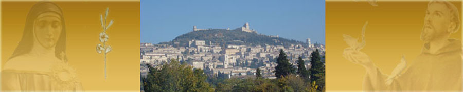 headassisi3